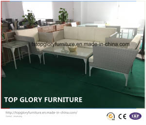 Latest Aluminum Frame Sofa Set PE Rattan Garden Furniture (TG-8014)
